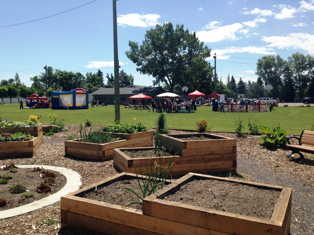 Guest blog: Federation of Calgary Communities