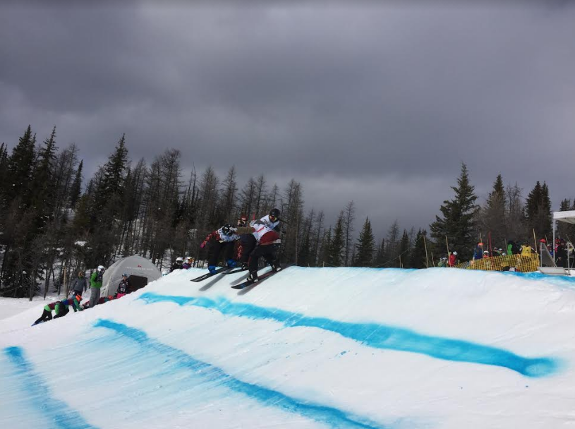 Lola Kutcher Guest Blog