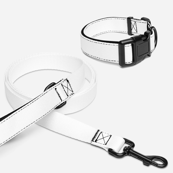 Custom Pet Collar & Leash