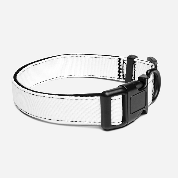 Custom Pet Collar