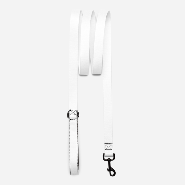 Custom Pet Leash