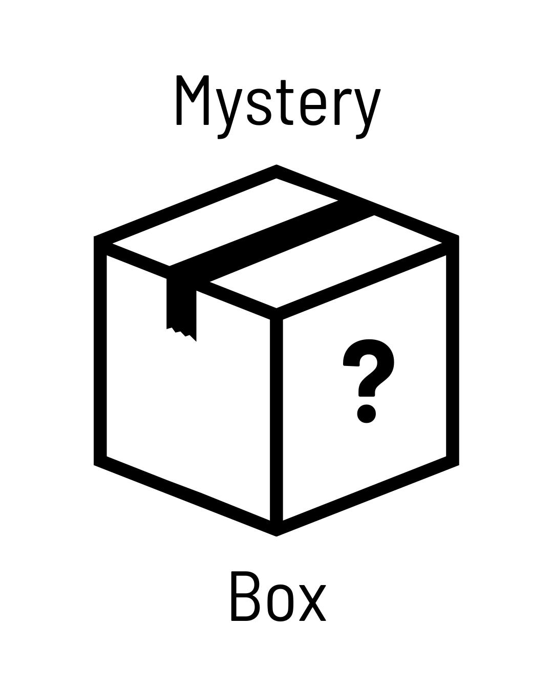 Mystery Box - $500 retail value - Local Laundry