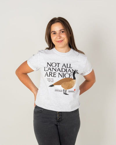 Unisex Midweight Cotton Goose Tee