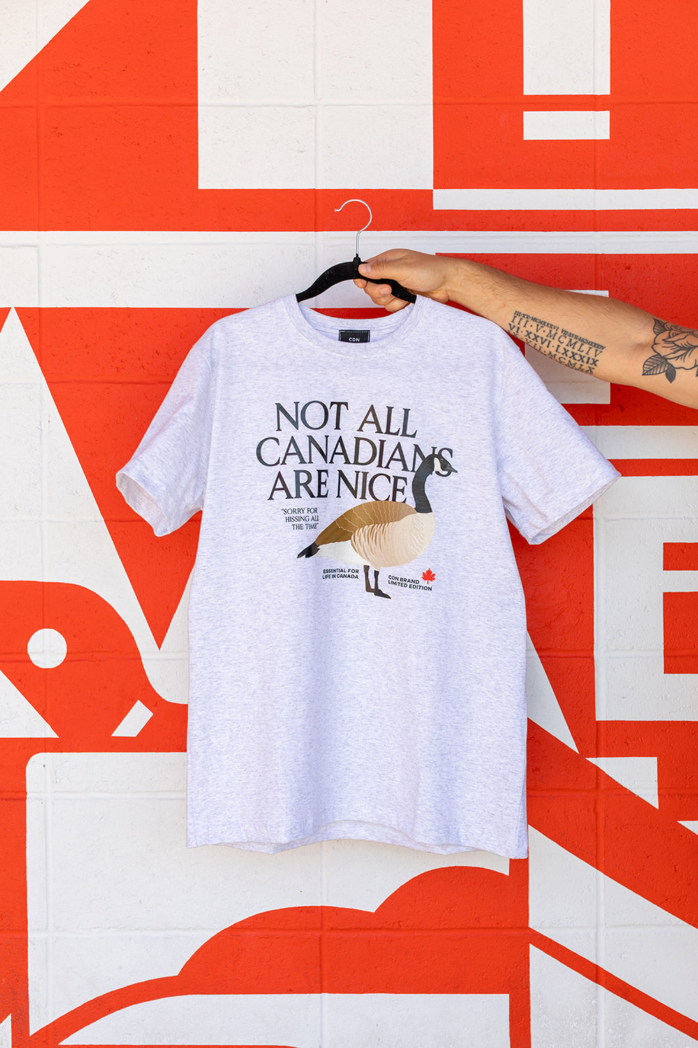 Unisex Heavyweight Cotton Goose Tee