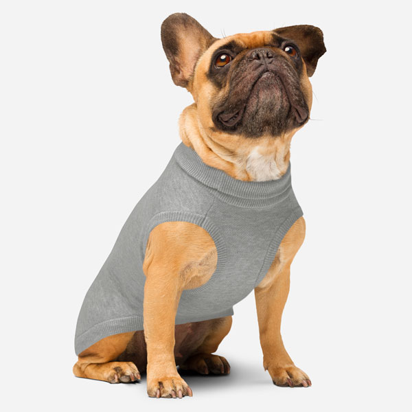 Custom Knitted Pet Sweater